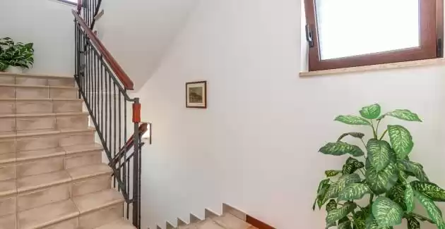 Apartmani Banko A3 - Rovinj