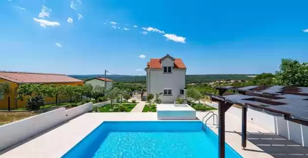 House Camellia with Pool