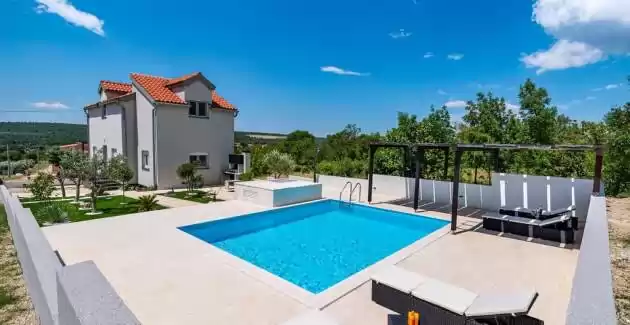 House Camellia with Pool