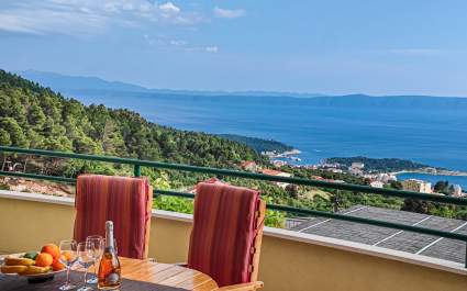 Villa Marino with private pool in Makarska